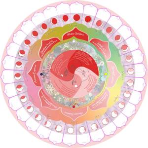 Mandala menstrual - você pode imprimir um dos vários modelos na internet para ir colocando as informações sobre seu ciclo